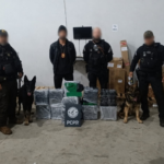 Mais de 150 quilos de maconha são apreendidos em ação da Polícia Civil